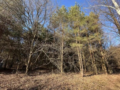 Oaza spokoju zaledwie godzinę od Warszawy