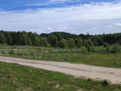 Działka Ząbrowo ul. Akacjowa