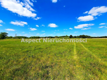 Działka Baciuty