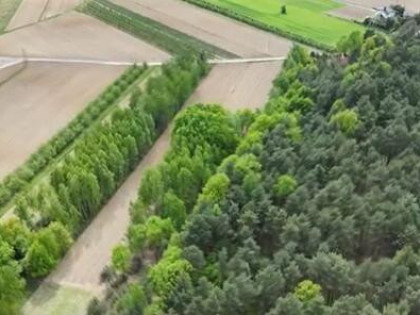 Twoja leśna działka na wyciągnięcie ręki!