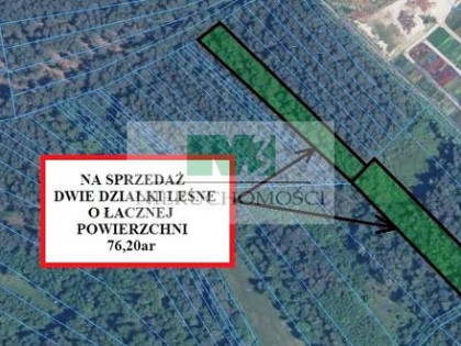 DO SPRZEDAŻY DWIE DZIAŁKI LEŚNE W GIEDLAROWEJ