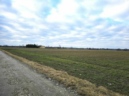 Działki w Skrobowie, gm. Lubartów