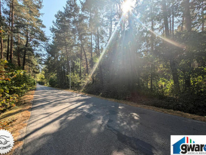 Działka Leśna, 15420 m2, Zederman