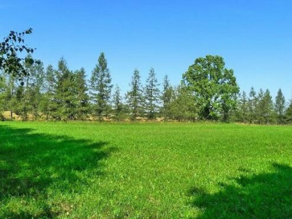 DZIAŁKI BUDOWLANE NOWA WIEŚ, LIPNIAK