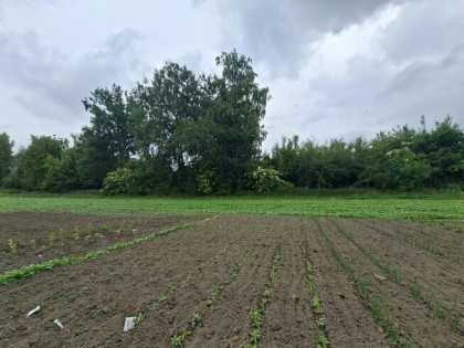 Działka budowlana Stok Lacki, ul. Siedlecka