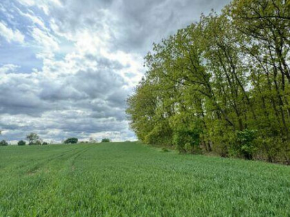 Działka budowlana 88 zł za m2!