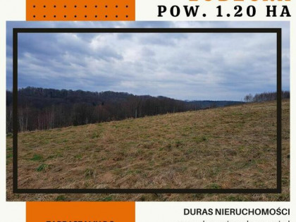 Wola Lubecka działka 1.20 ha