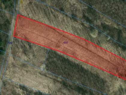 Działka rolno-leśna - Osobnica Wysłanka