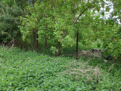 Nieruchomość gruntowa od syndyka - Nowy Modlin 89/4 , 89/6