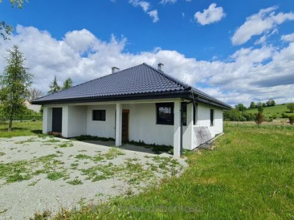 Dom Stary wielisław