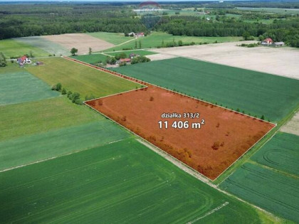 Teren 1,14 ha Korabiewice gm. Puszcza Mariańska