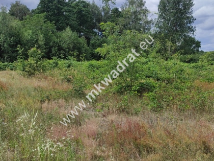 Super oferta  | Media | Droga gminna | WZ