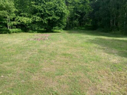 Dom z dużą działką, aż 11791m2, z własnym lasem