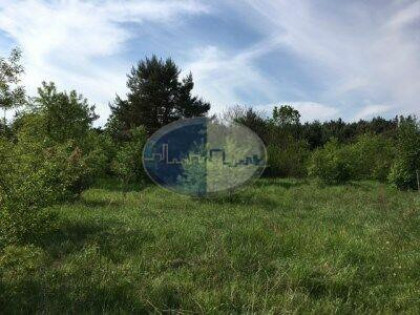 1200 m2 Działka w Nowej Zielonej Górze w zacisznym miejscu