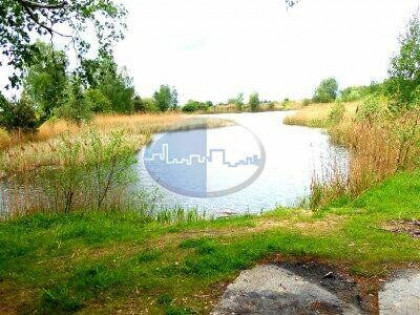 Okolice Sulechowa duża działka rolna ze stawem i lasem