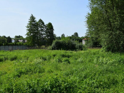 Działka budowlana 6.8a - Jasionka