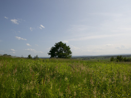 Widokowa działka budowlana Łukowa- gm. Lisia Góra!