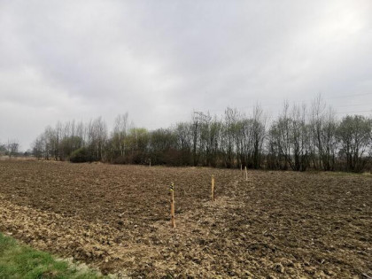 Zator działka pod inwestycje np domków letniskowych