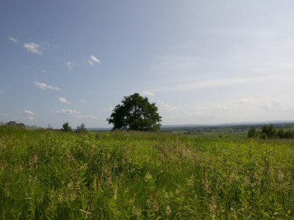 Widokowa działka budowlana Łukowa- gm. Lisia Góra!