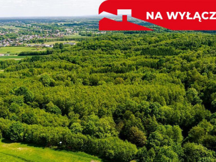 Działka leśna w Skrzyszowie