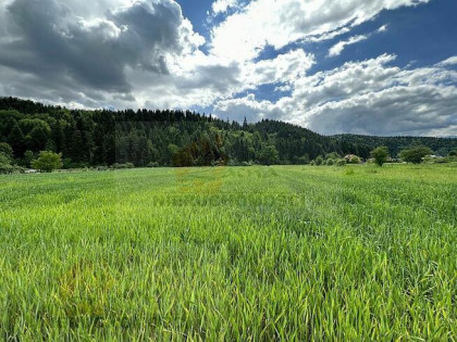 POLECAMY! 113G Gołkowice Dolne gmina Stary Sącz, działka mie