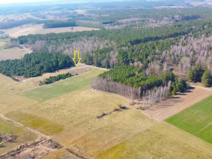 Działka w otulinie lasów i łąk z MPZP - 14 zł/ m²