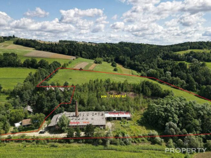 Lokal użytkowy Lipnica Wielka gm. Korzenna