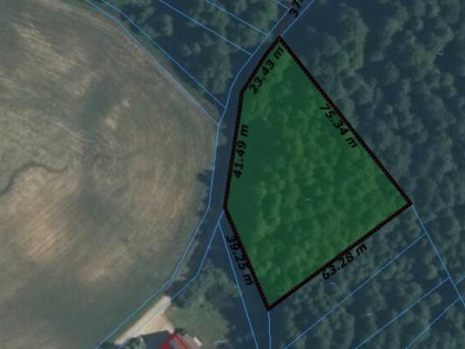 SPRZEDAŻ ! Działka -LAS !!! Rumian gmina Rybno