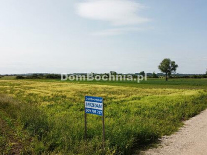 Działka budowlana Strzelce Wielkie gm. Szczurowa