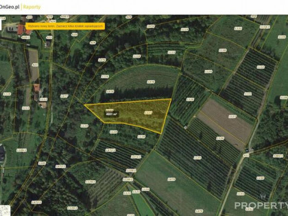 Działka rolna Zabrzeż gm. Łącko