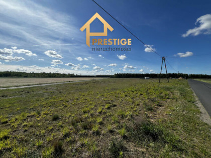 Działka budowlana Synogać – 1427 m2 z Warunkami Zabudowy