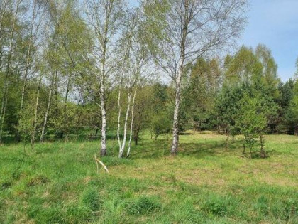 Działka budowlana nad jeziorem I rzeką