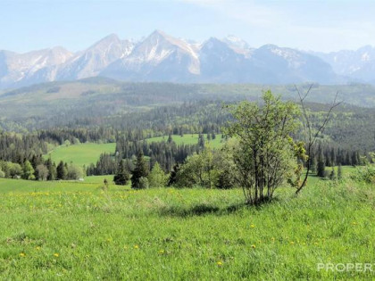 Działka rolna Łapszanka gm. Łapsze Niżne