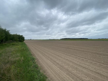 Działka budowlana 691 m2 w Borkach Siedleckich!