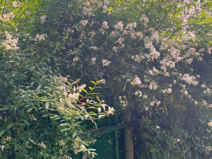 Działka rekreacyjna Legnica, Nowogródzka