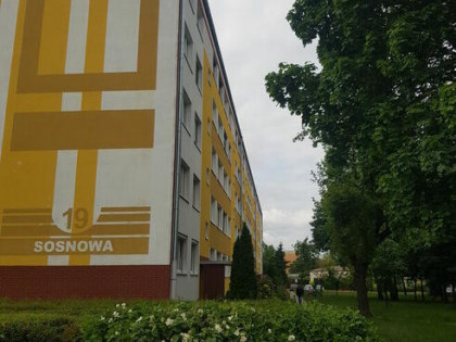Mieszkanie 3 pokojowe -parter -Sosnowa - Konin