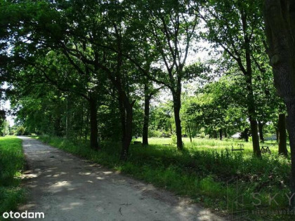 Zajączków – działka pod zabudowę wielorodzinną