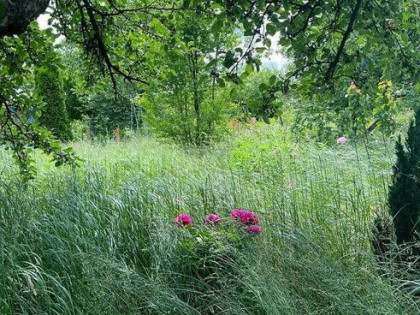 Działka rekreacyjna Legnica, Działkowa