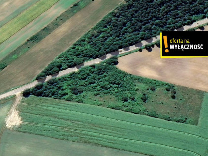 Działka Wierzbie ul.  