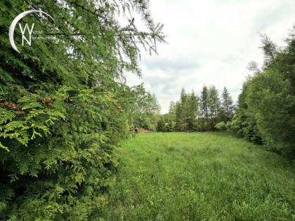 Działka rolna Radziucie gm. Sejny,