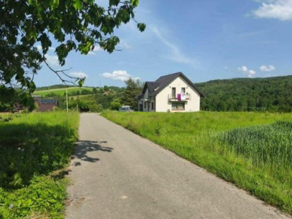 Lipnica Dolna-malownicze miejsce z potencjałem inwestycyjnym