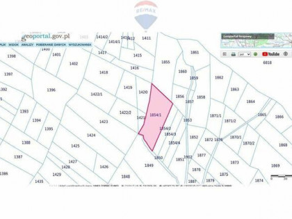 Działka leśna – idealna inwestycja w naturę