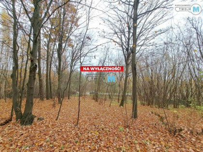 Działka Chęciny Lelusin