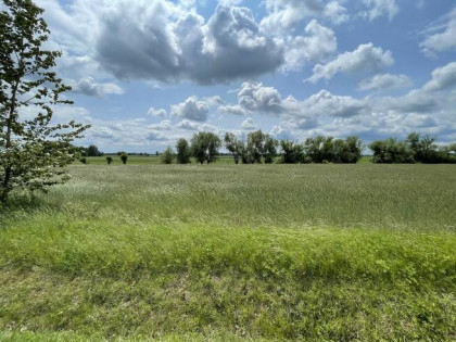 Działka mieszkaniowo-usługowa (MU) z MPZP 11,7ar