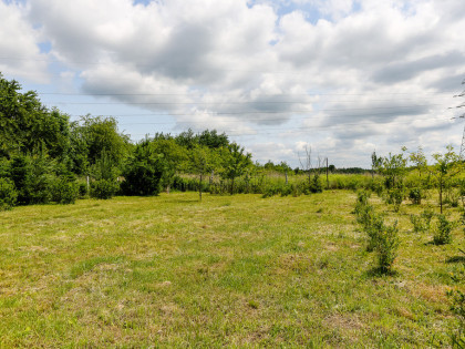 Działka rolno-budowlana w Biadolinach Radłowskich!