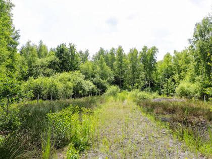 Działka budowlana- Bielcza- gmina Borzęcin!