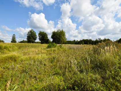 Działki inwestycyjne w Mrowli