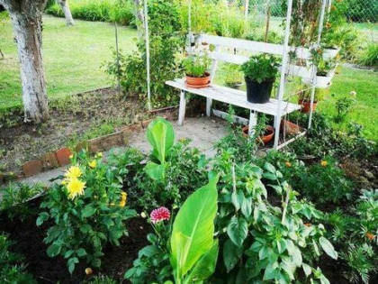 Sprzedam ogródek z duszą – zielone schronienie w Kłobucku