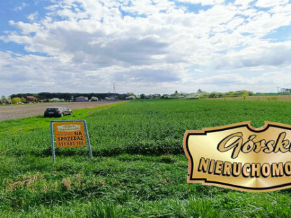 Działki Pniówek, 2,5 km od Zamościa