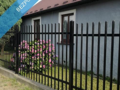 Domek w centrum Radomia – działka 964 m² z sadem i domkiem